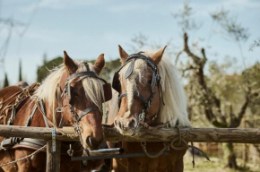 Agriturismo Gli Archi Fauglia